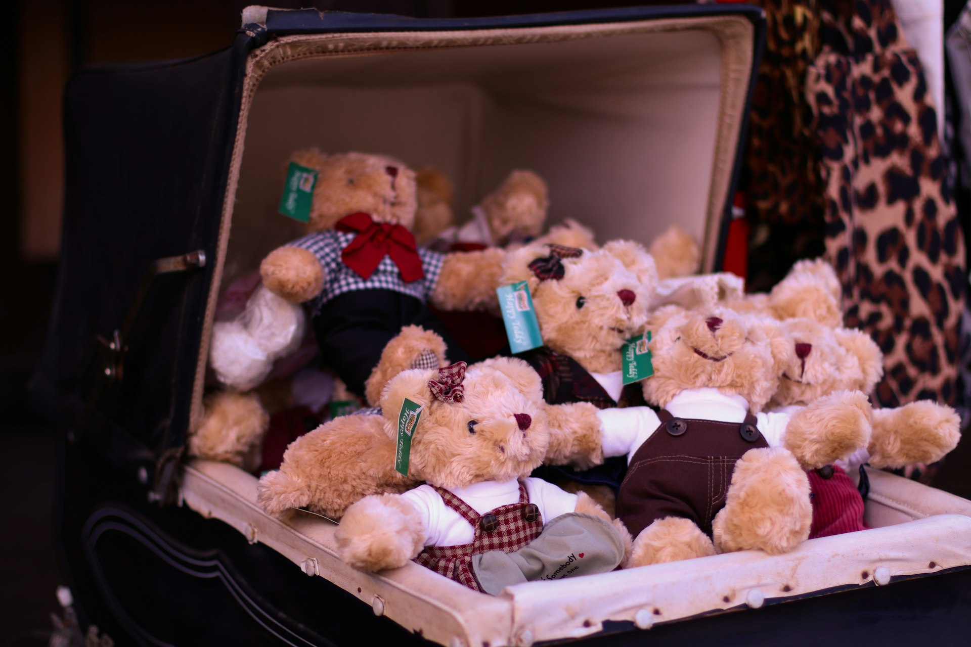 brown bear plush toy in box
